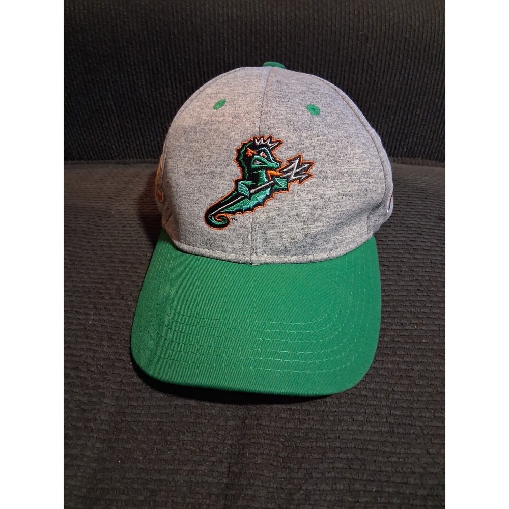 Norfolk Tides Snapback Hat Gray Green Jersey Pepsi‎ The Hampton Roads Show